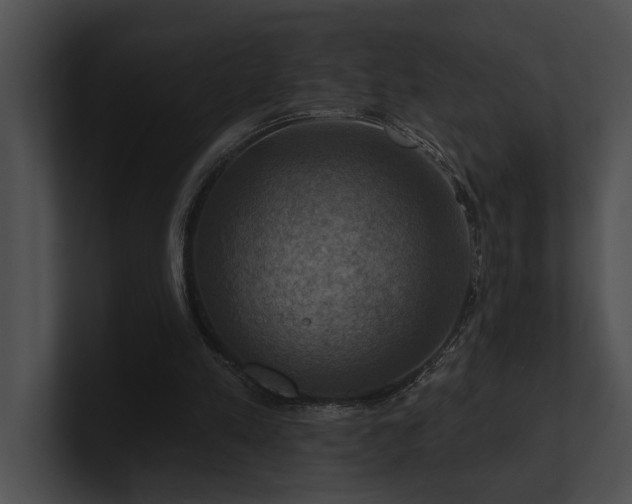 X0000100890197200806241238