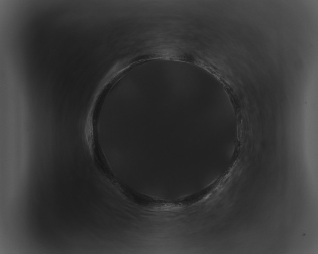 X0000100890198200806241238