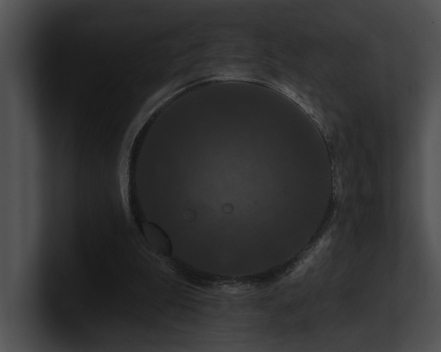 X0000100890199200806241238