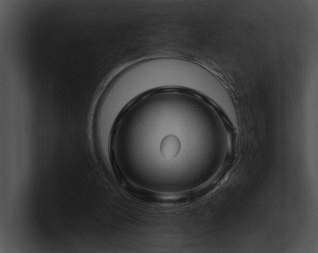 X0000100890200200806241238