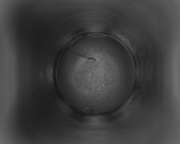 X0000100890201200806241238