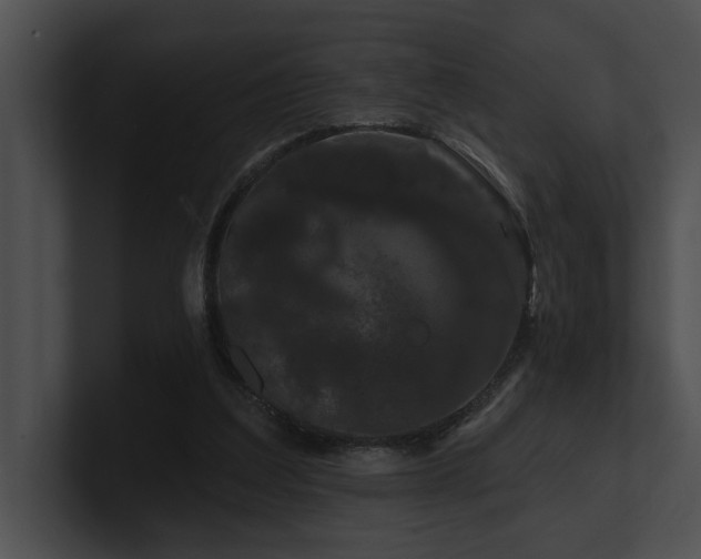 X0000100890203200806241238
