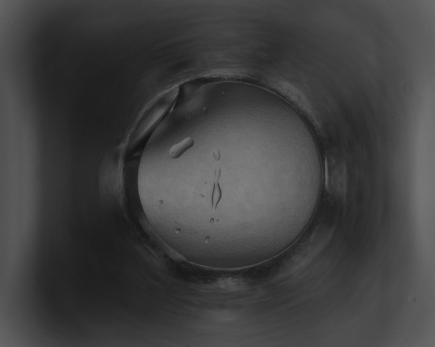 X0000100890204200806241238