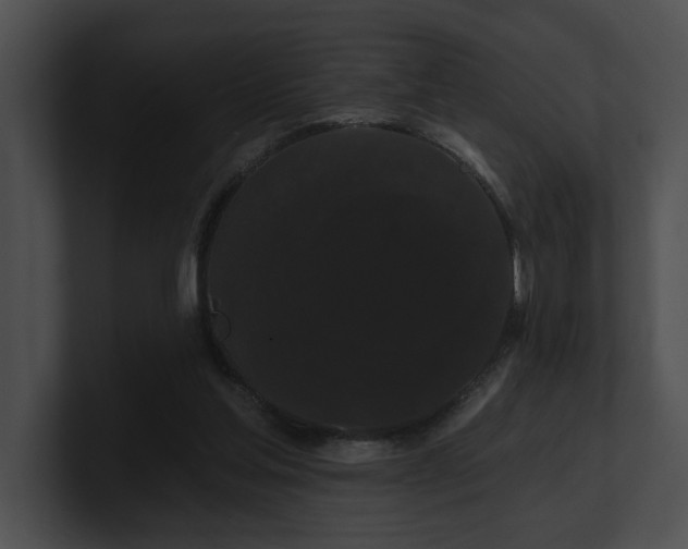X0000100890205200806241238