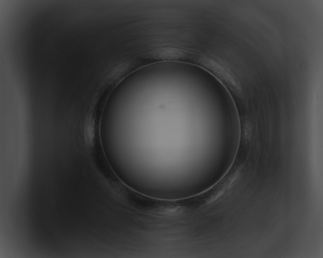 X0000100890206200806241238