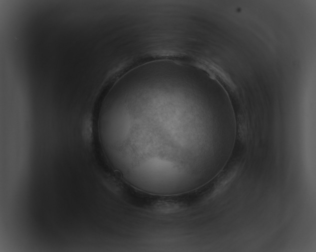 X0000100890207200806241238