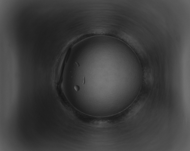 X0000100890208200806241238