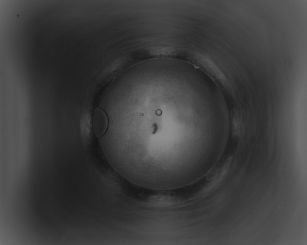 X0000100890211200806241238