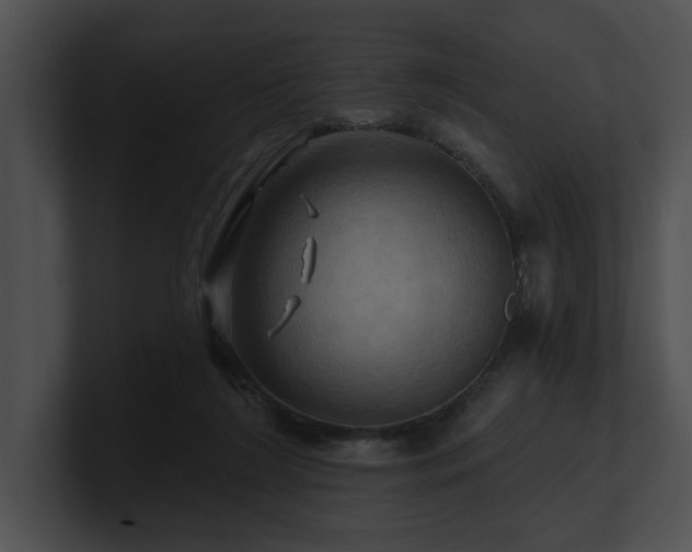 X0000100890212200806241238