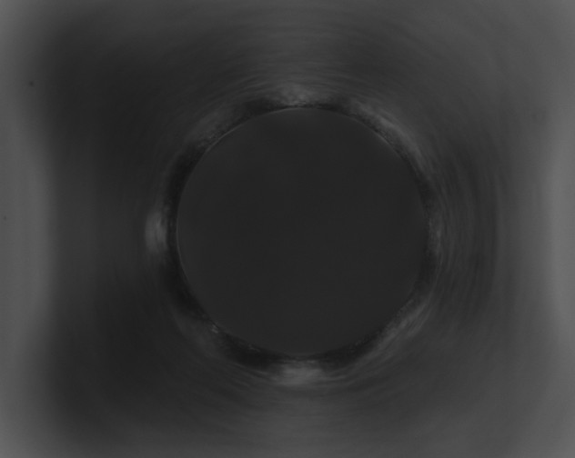 X0000100890214200806241238