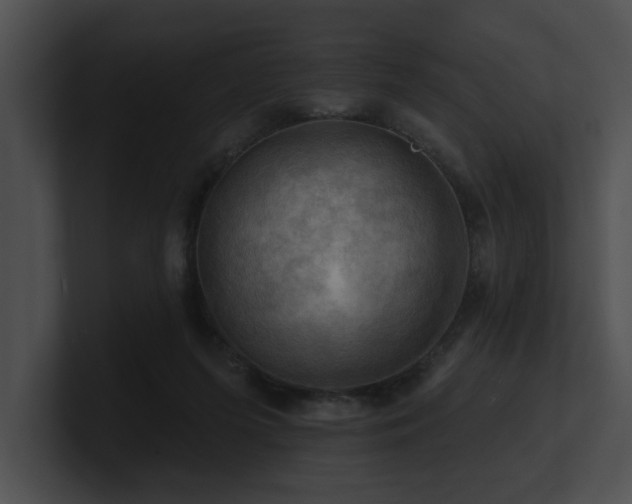 X0000100890215200806241238