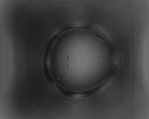 X0000100890216200806241238