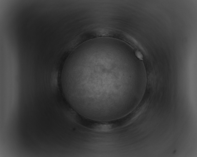 X0000100890217200806241238