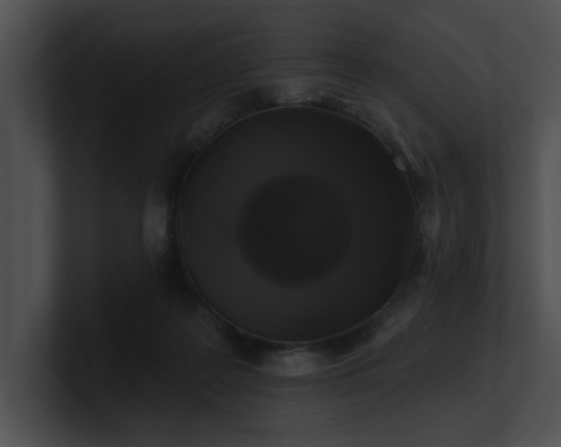 X0000100890219200806241238