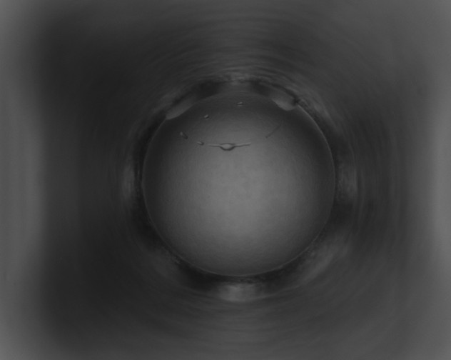 X0000100890220200806241238
