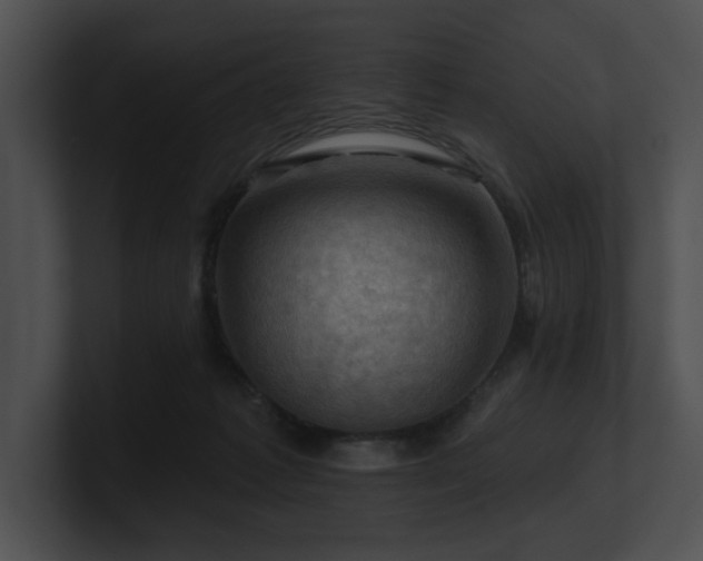 X0000100890221200806241238