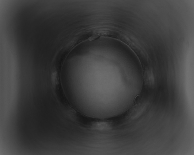X0000100890224200806241238