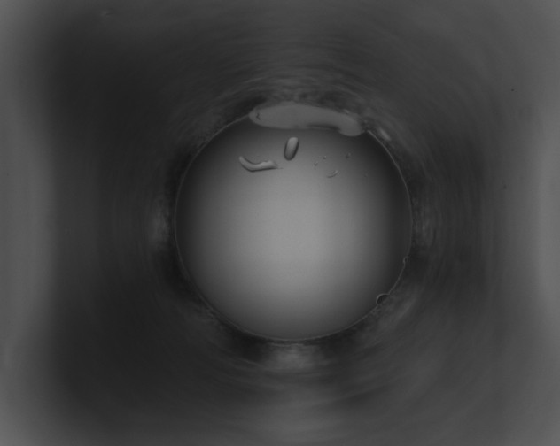 X0000100890226200806241238