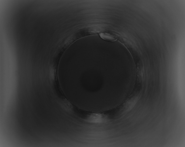 X0000100890227200806241238