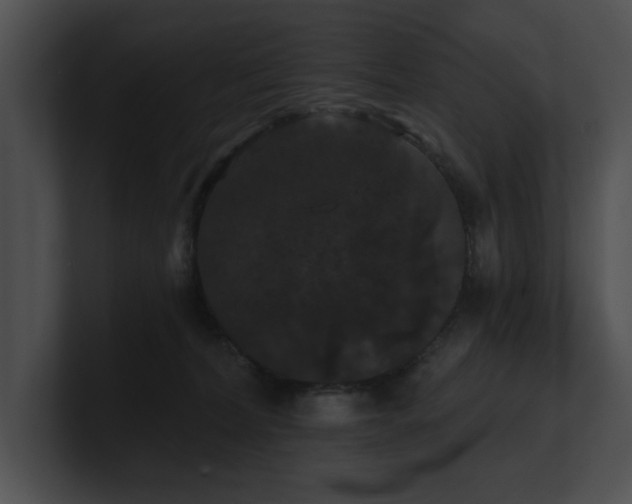 X0000100890228200806241238