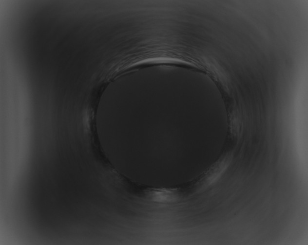 X0000100890229200806241238