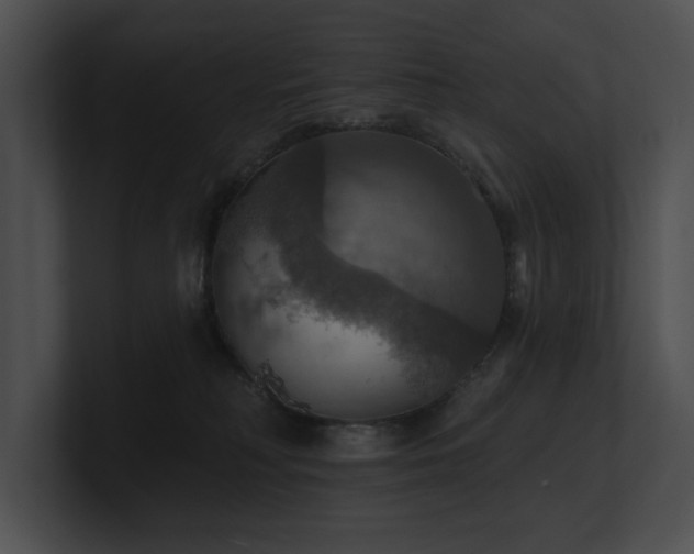 X0000100890230200806241238