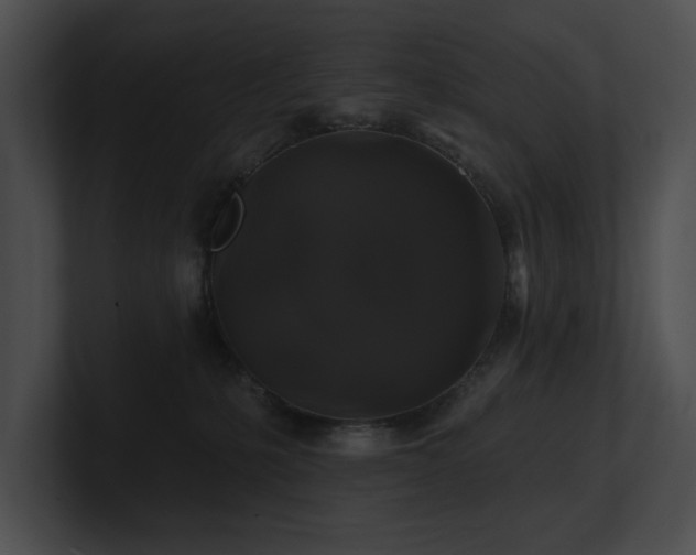 X0000100890231200806241238