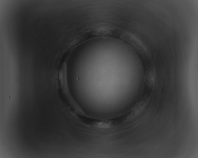 X0000100890232200806241238