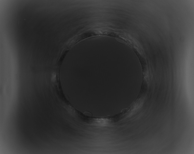X0000100890233200806241238