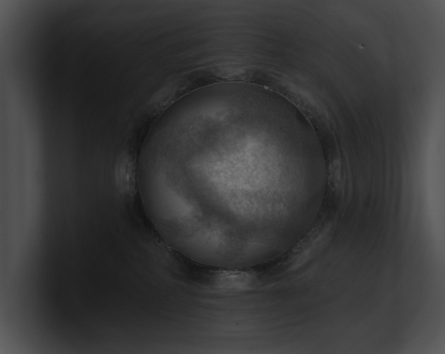 X0000100890234200806241238