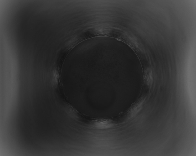 X0000100890235200806241238