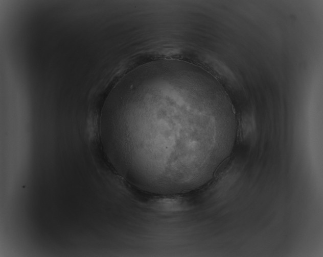 X0000100890236200806241238