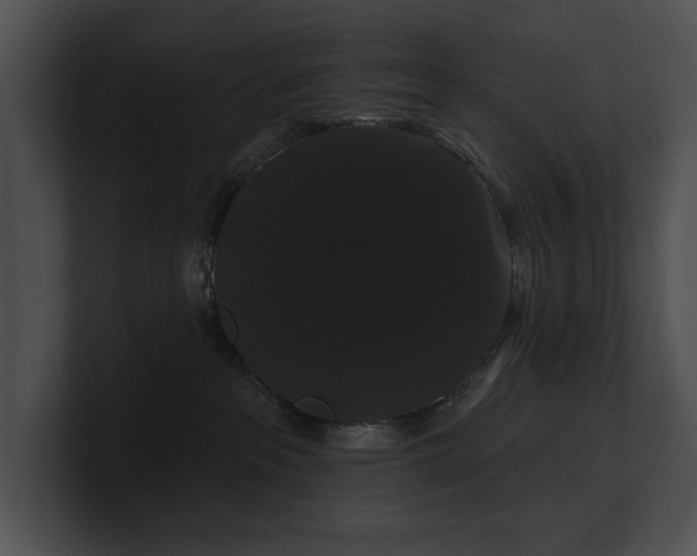 X0000100890237200806241238