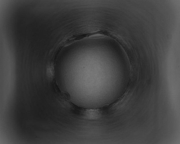 X0000100890240200806241238