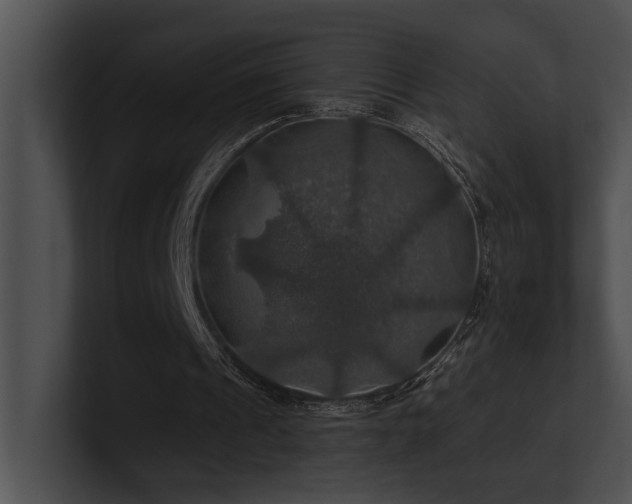X0000100890241200806241237