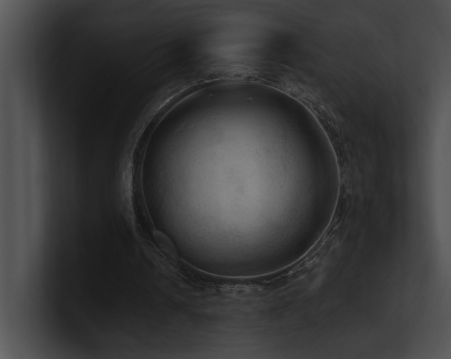 X0000100890242200806241237