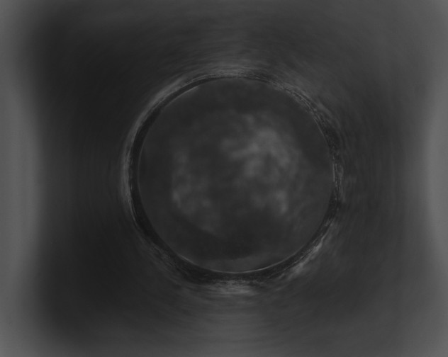 X0000100890244200806241237