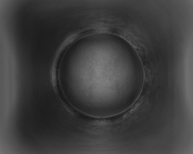 X0000100890245200806241237