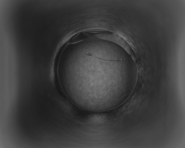 X0000100890248200806241237