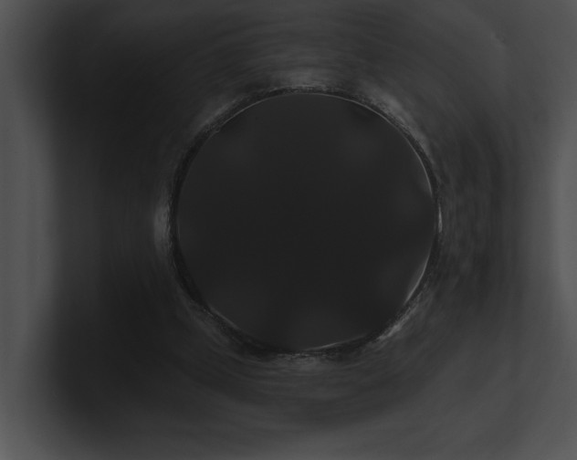 X0000100890249200806241237