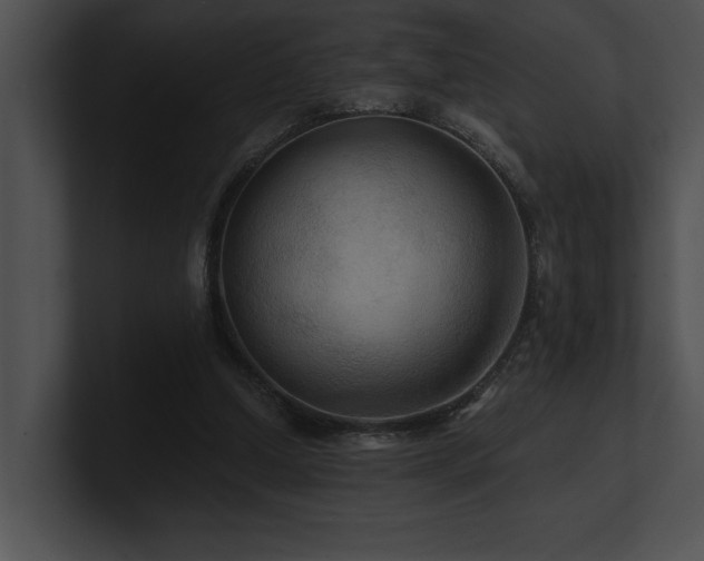 X0000100890250200806241237
