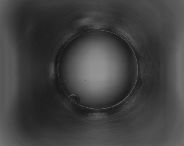 X0000100890251200806241237