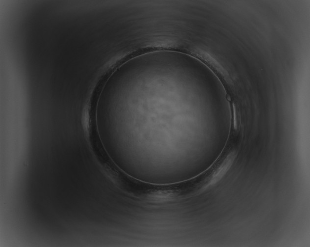 X0000100890252200806241237