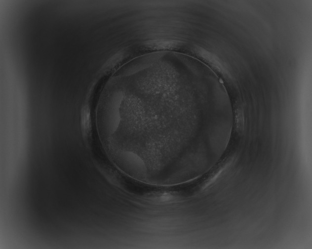 X0000100890254200806241237