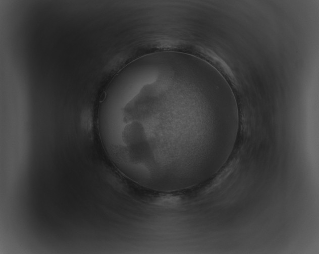 X0000100890257200806241237