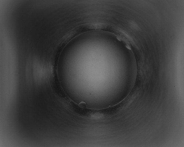 X0000100890258200806241237