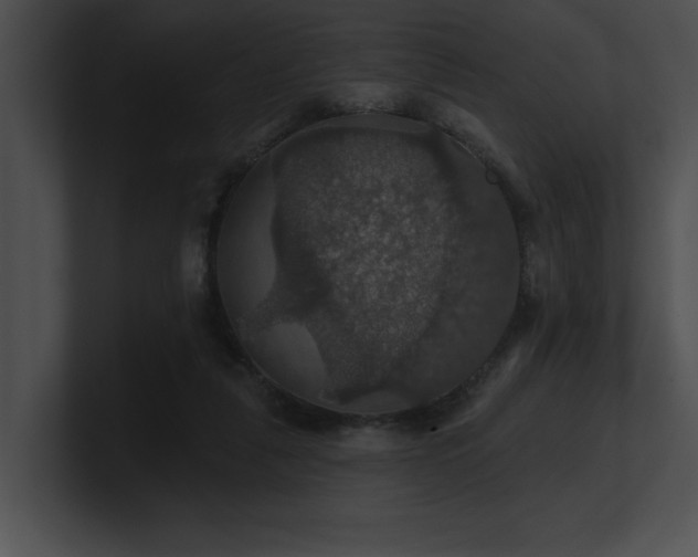 X0000100890259200806241237