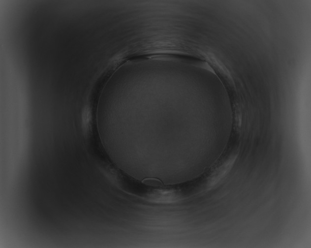 X0000100890260200806241237