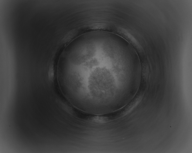 X0000100890261200806241237