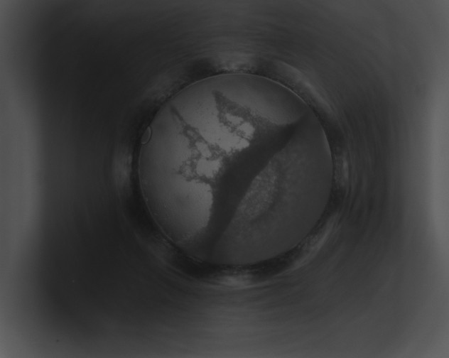 X0000100890263200806241237
